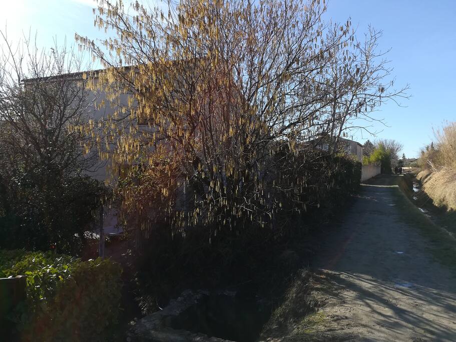 vue depuis le canal