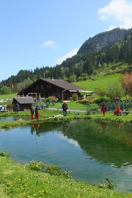 Canapé Scandinave 3 Places Danube Tissu Gris Foncé Salon