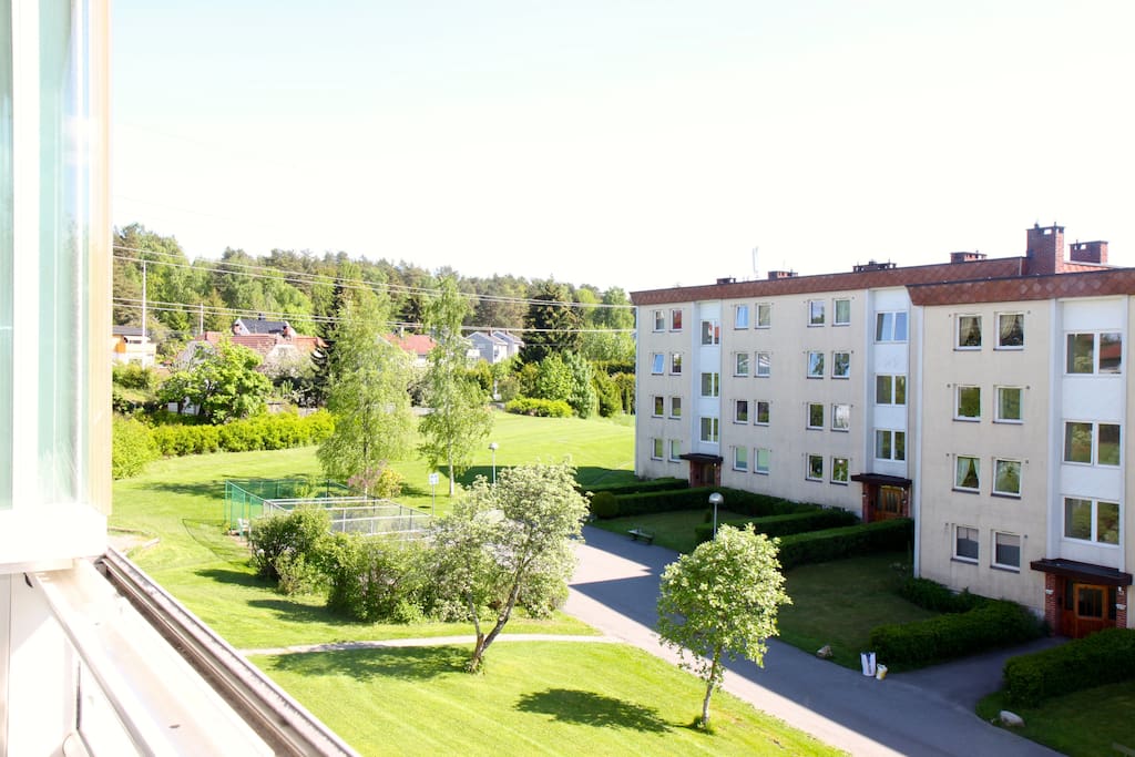 View from the apartment