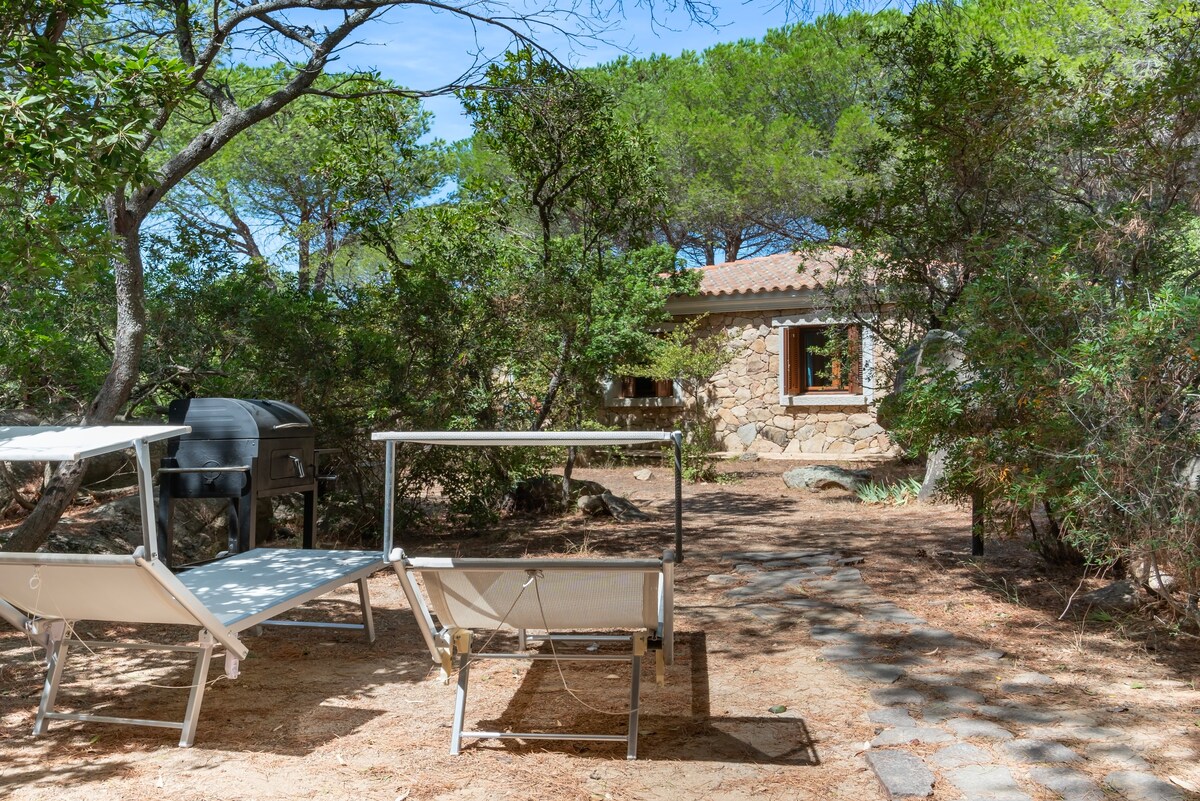 A stone villa is surrounded by lush greenery, featuring a pathway leading to the entrance. Two loungers are positioned nearby, offering a space for relaxation. A barbecue grill stands to the side, enhancing the outdoor dining experience.