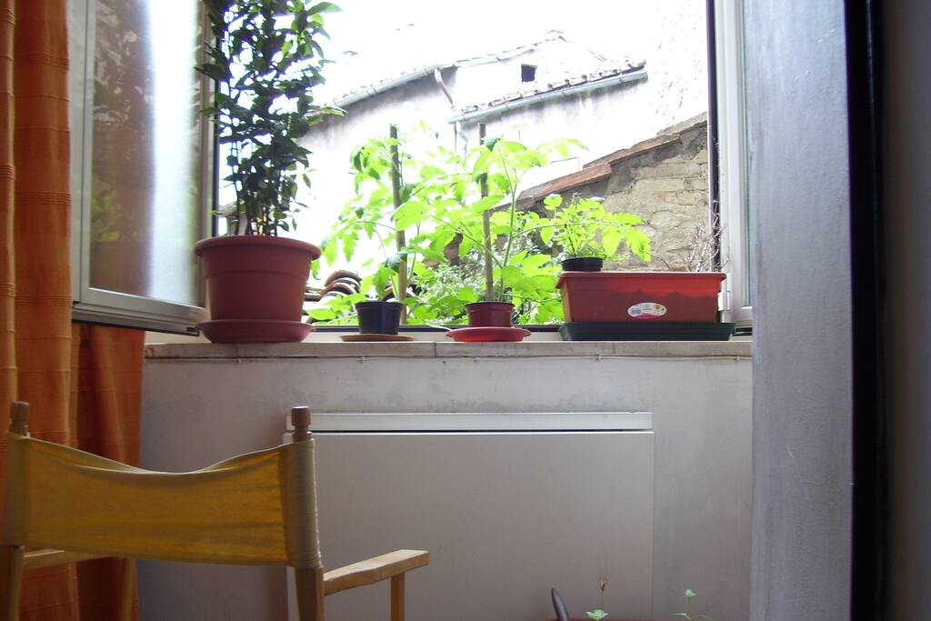 terrazzino
