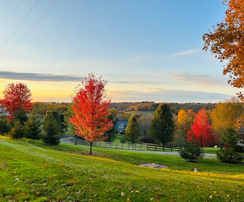 Pristine Nature’s Spring Haven w/our Mini Donkeys