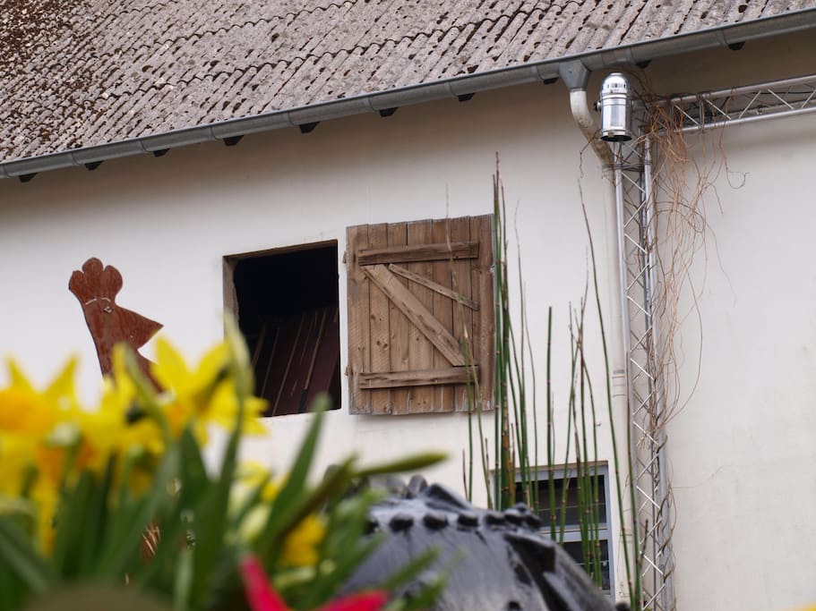 Blick auf die Scheune