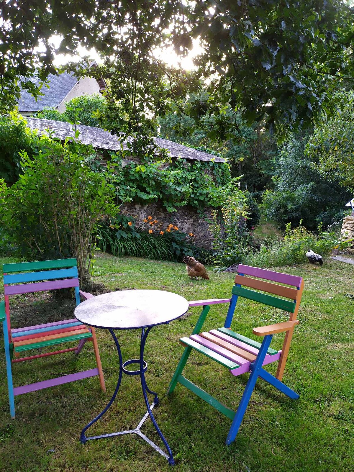 A small table is surrounded by two colorful chairs, set on a grassy area. Lush greenery and flowering plants frame the background, with a softly flowing river visible nearby. A small chicken can be seen in the distance, enhancing the serene outdoor setting.