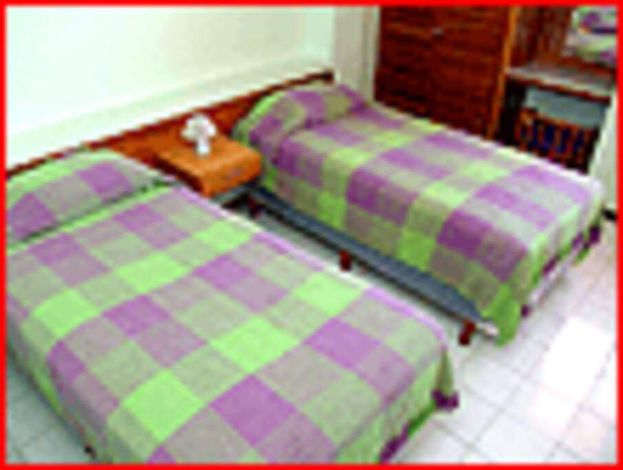 DOS CAMAS INDIVIDUALES DORMITORIO 2