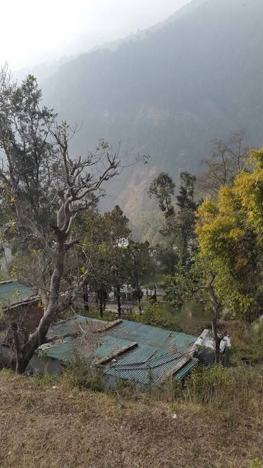 View from the room