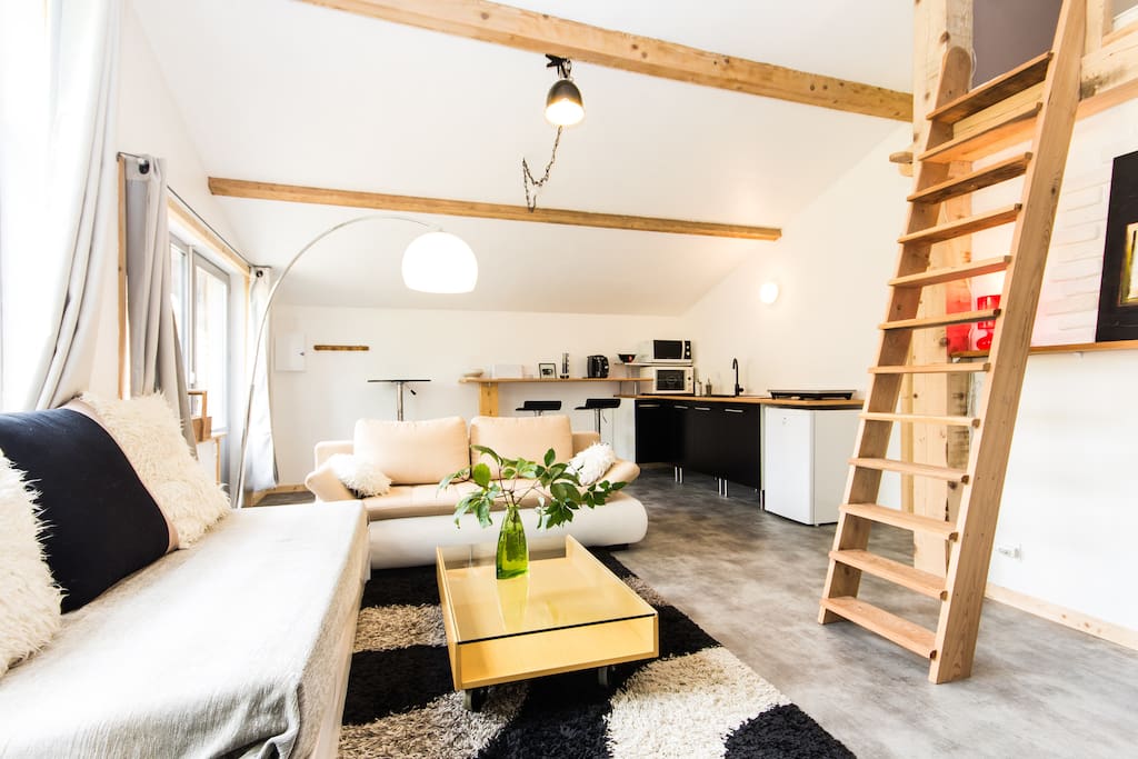 La Flachère 2018 (带照片): 爱彼迎全球特色民