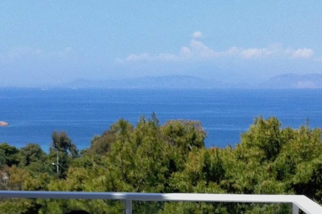 the view1