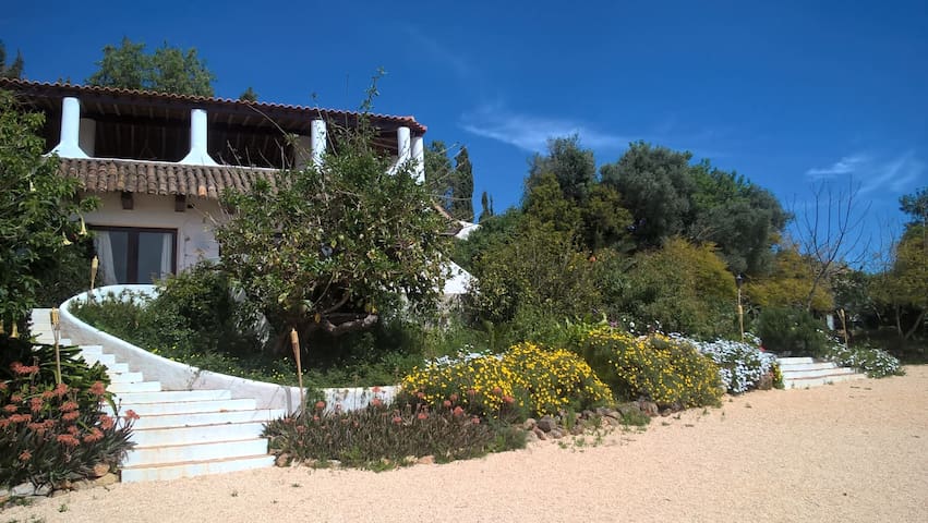 Fazenda das Papoilas - Casa Cortiça - Studio