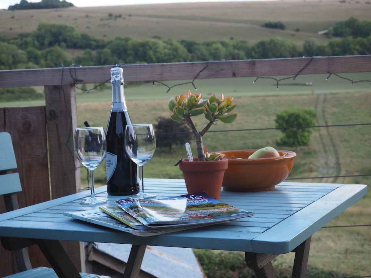 A small blue table is set with two wine glasses and a bottle of sparkling wine. A potted plant and a bowl of apples are placed on the table, which overlooks a vast green field and rolling hills in the distance.