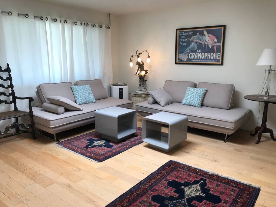Living room w/2 sofa/beds