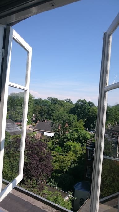 View on the Vondelpark from the living room