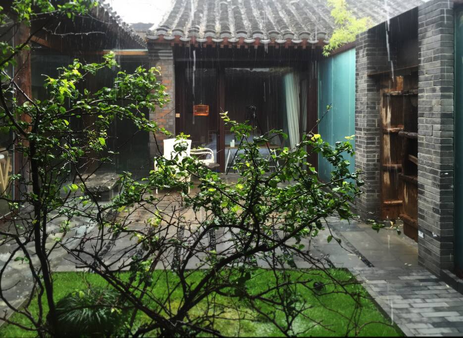 雨中的有棠的风景