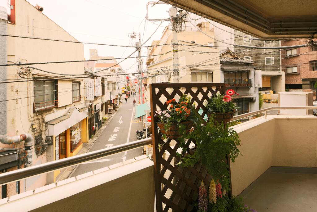 serene neighborhood view