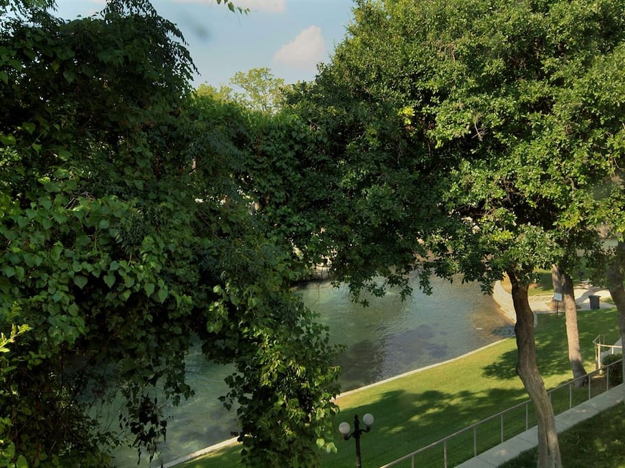 Comal River 303-View from Livingroom Window