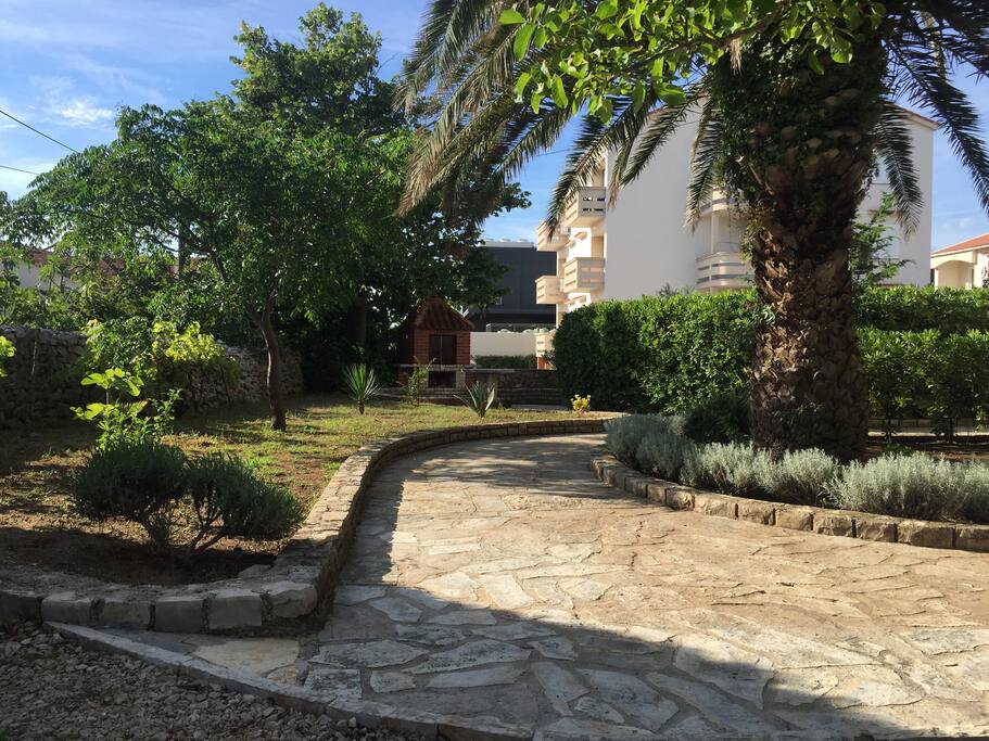 The Mediterranean vegetation in front of the apartment.