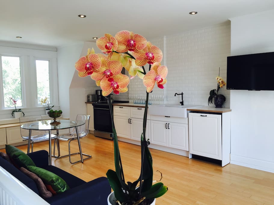 Open concept kitchen
