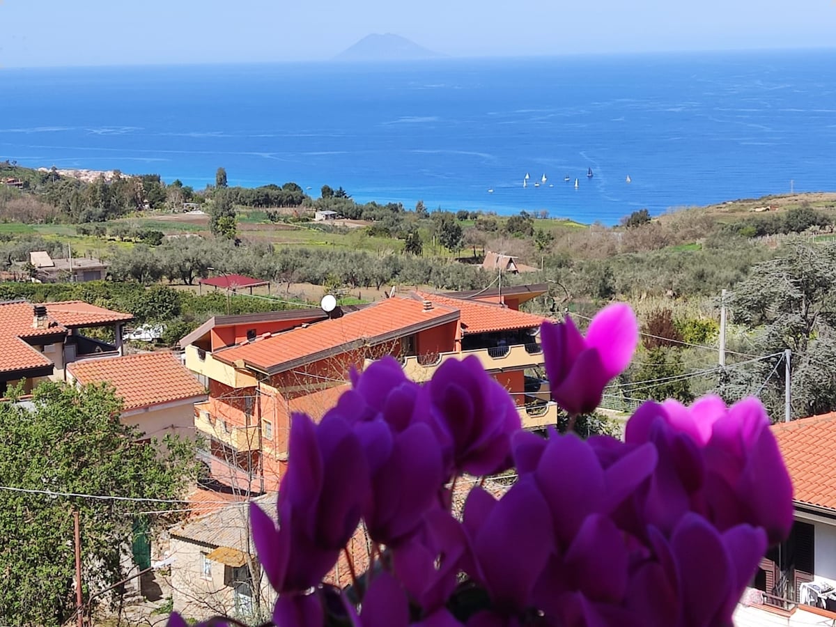 Vibrant pink flowers are visible in the foreground, framing a scenic view of the blue sea and distant islands. The coastline features a variety of greenery and terracotta-roofed buildings, creating a peaceful atmosphere under clear skies.