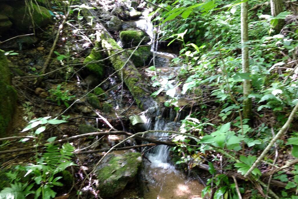 Rushing stream can be heard from front porch!