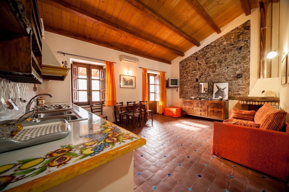An open space layout is highlighted, featuring a kitchen area with decorative tile and ample counter space. Wooden beams line the ceiling, while natural light fills the room through windows dressed with orange curtains. A cozy seating area includes a vibrant couch, complemented by a wooden dining table with chairs.
