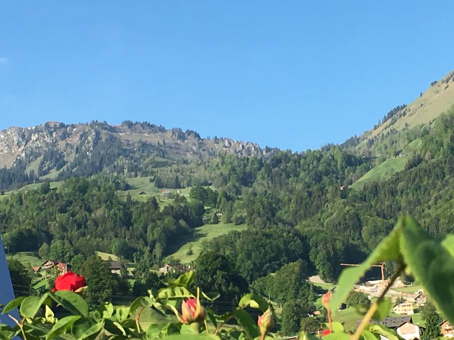 Mountain Klewenalp/Buochserhorn behinde the house