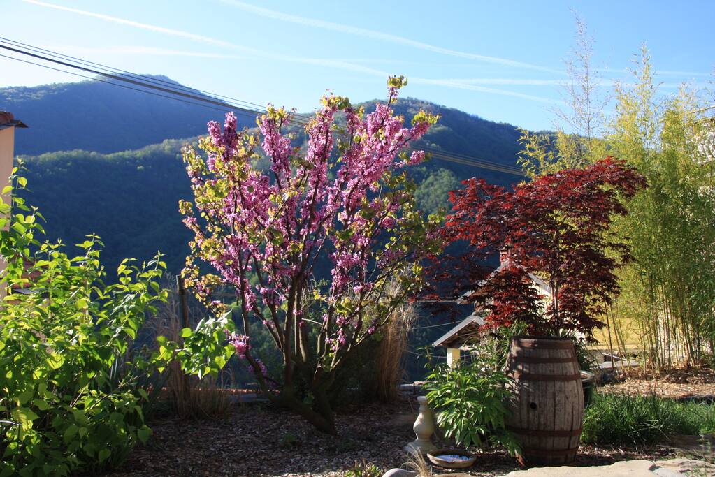 Front Garden and view to mountains beyond