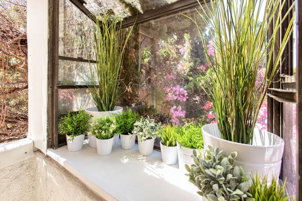 Window garden