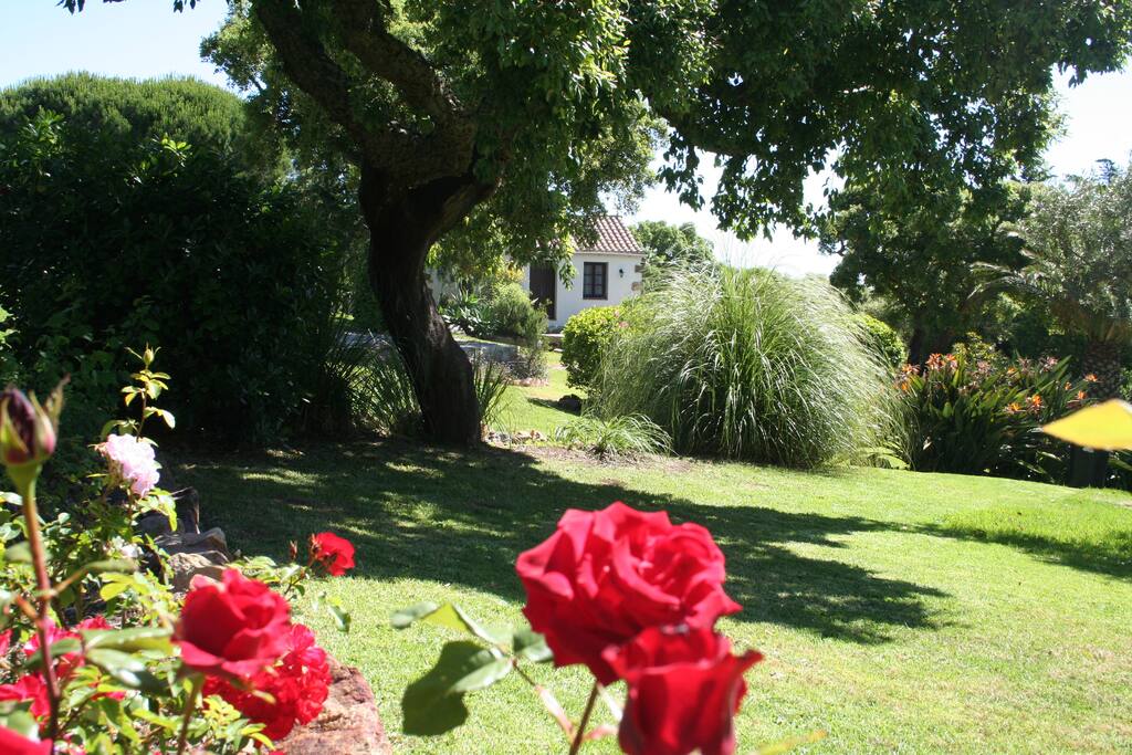 8000m2 garden to explore