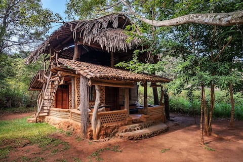 Banyan Camp- Wine Lodge