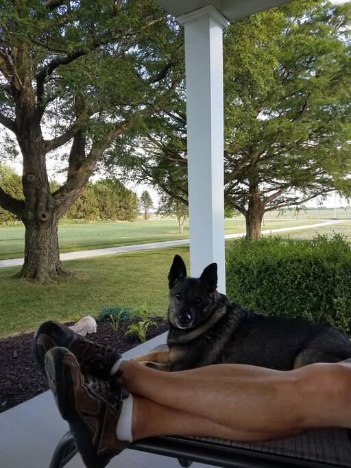 Ellie looks big here but she is pretty little.