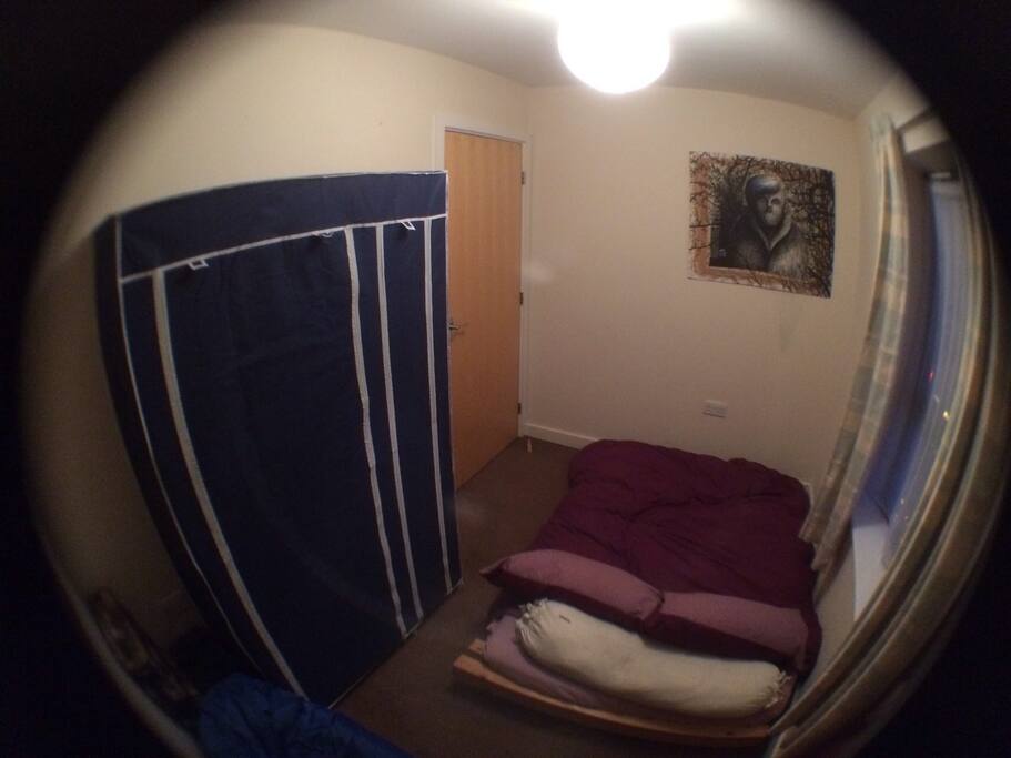 The room
