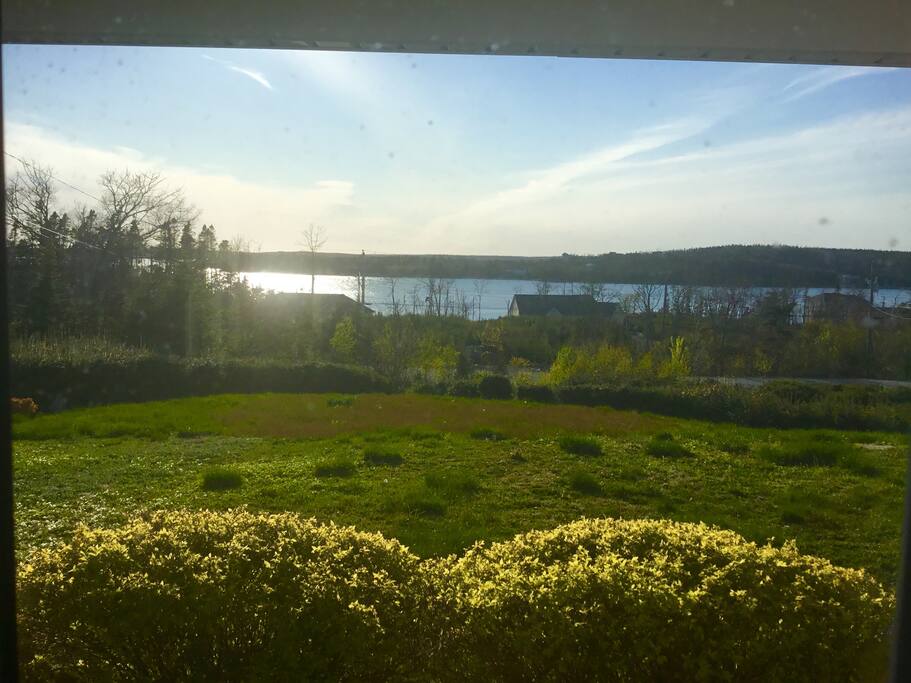 A view from the porch