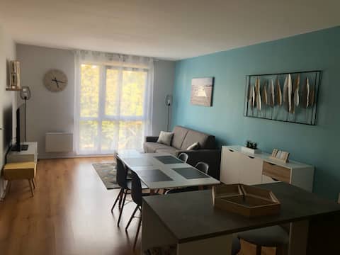 Successful Airbnb property: Beautiful renovated apartment near the city center. in Troyes