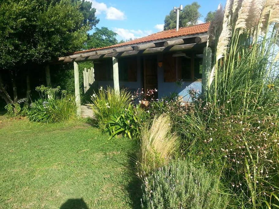 frente