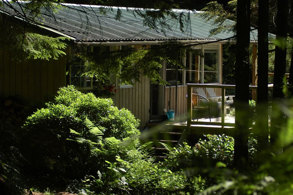 The Most Amazing Airbnbs to Stay at in Vancouver