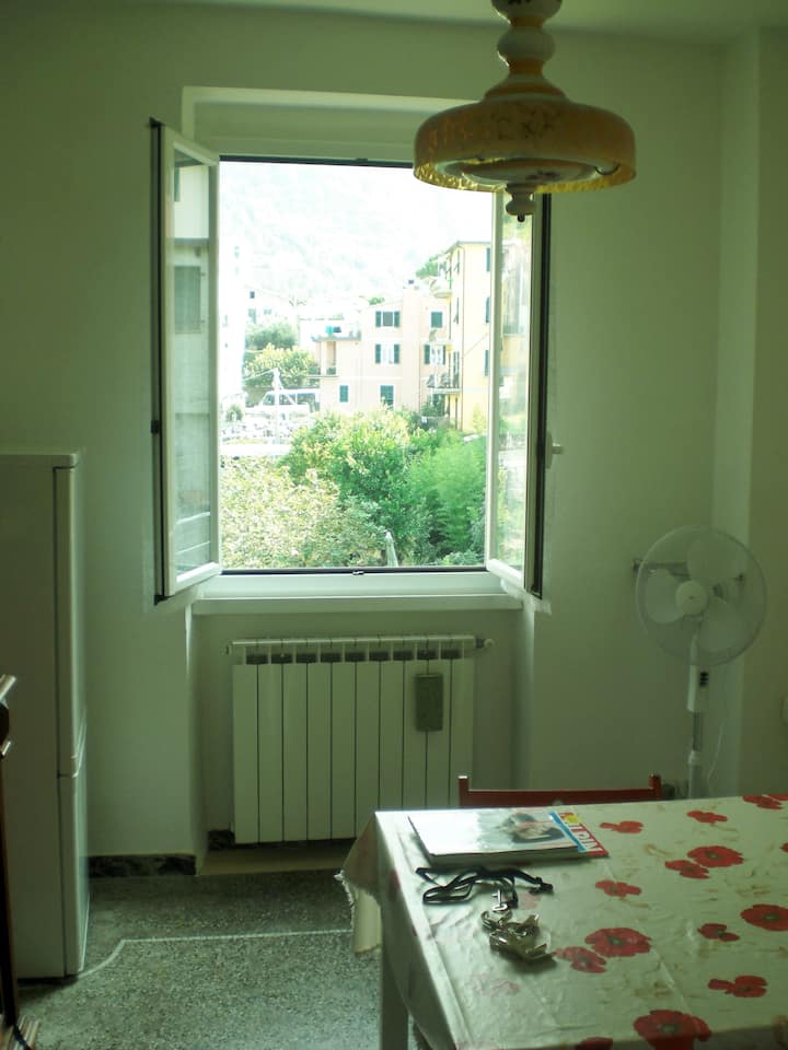 village view, from the living room of the apartment
