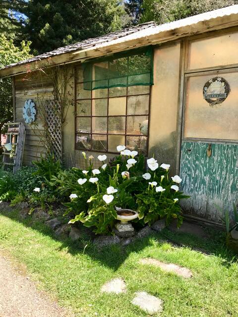 Charmingly Rustic-Pampered Comfort