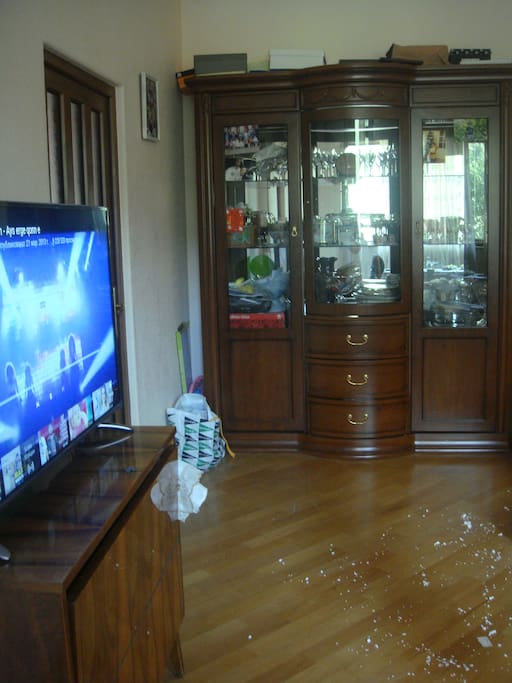 Apartment 2: living room