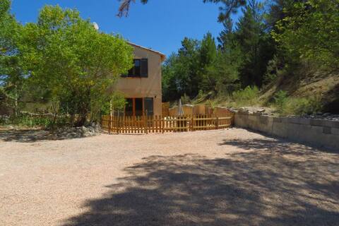 Le grand cèdre - In the countryside near the Verdon