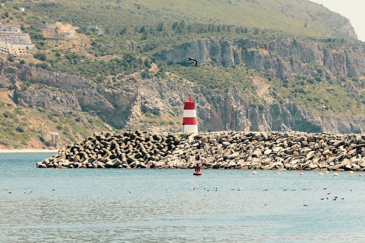 *Aiola Water Apart*Listen Sea*Eco friendly