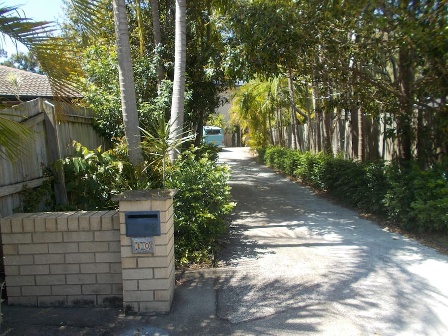 Palm tree-lined driveway leads to the house