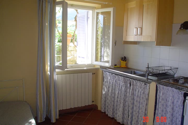 "la Ginestra"