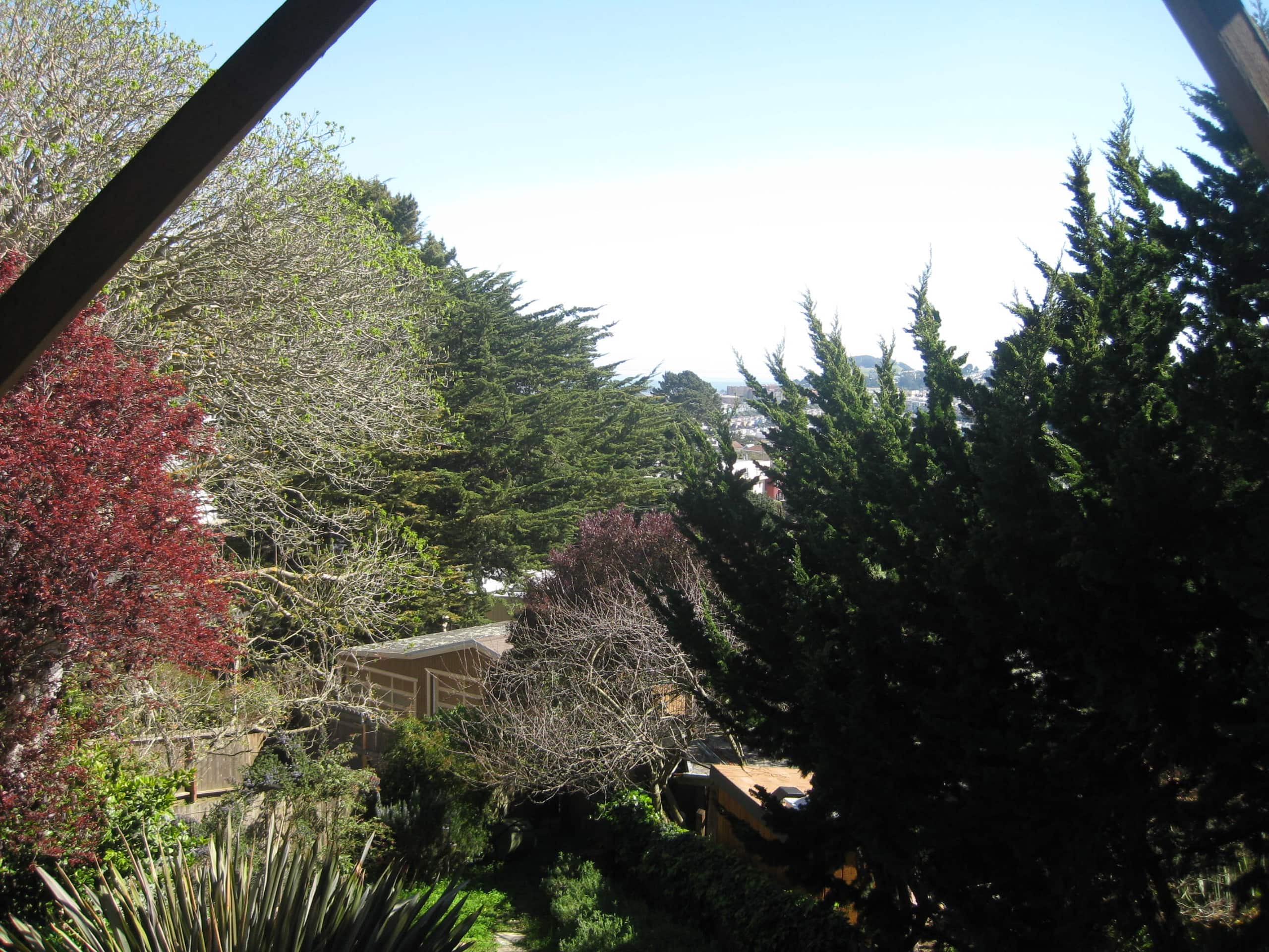Home in San Francisco · ★4.89 · 1 bedroom · 1 bed · 1 bath - Image 16