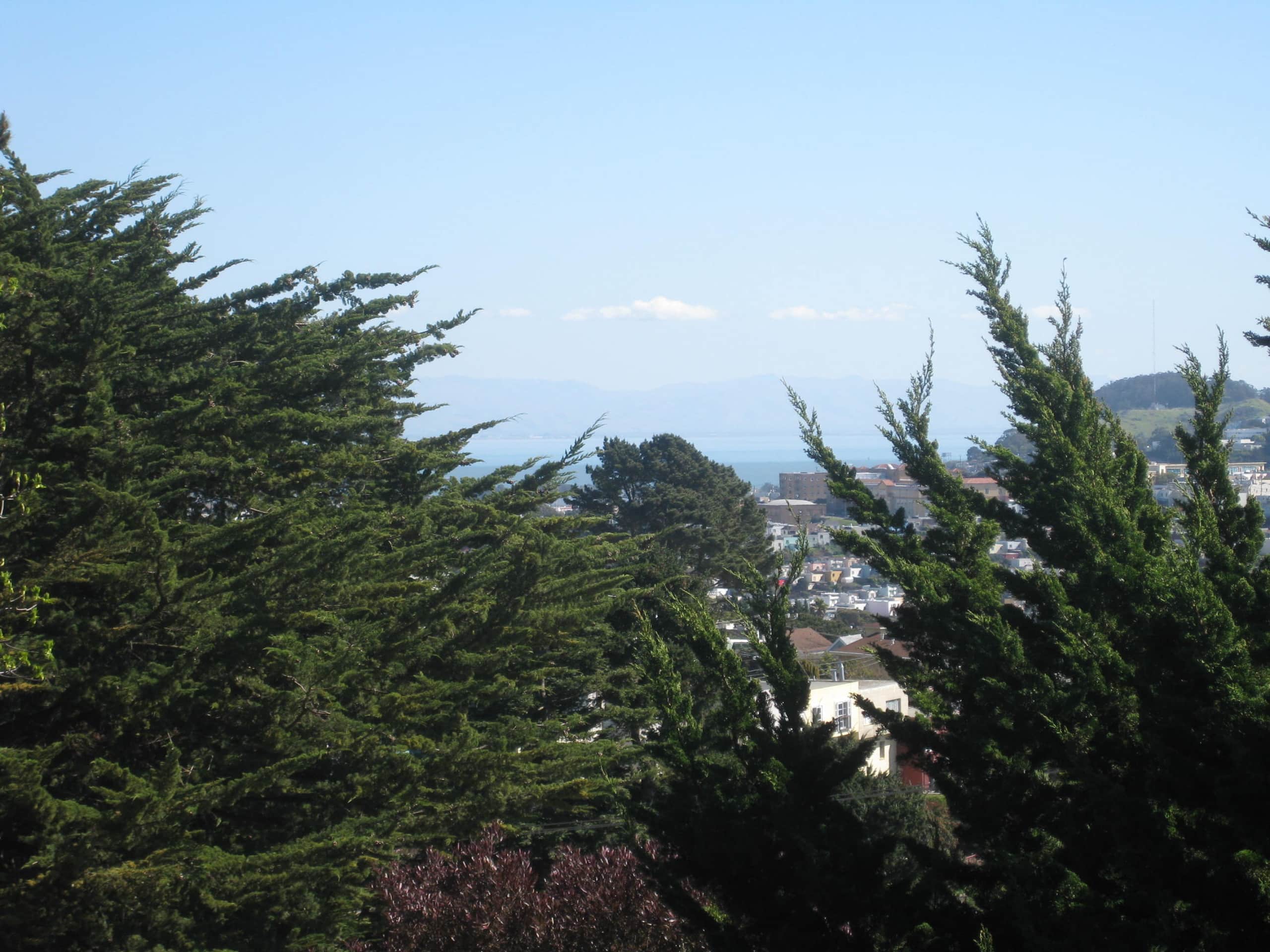 Home in San Francisco · ★4.89 · 1 bedroom · 1 bed · 1 bath - Image 17