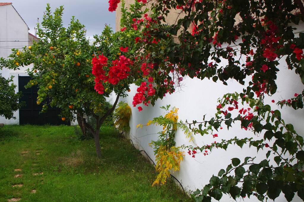 Jardín grande