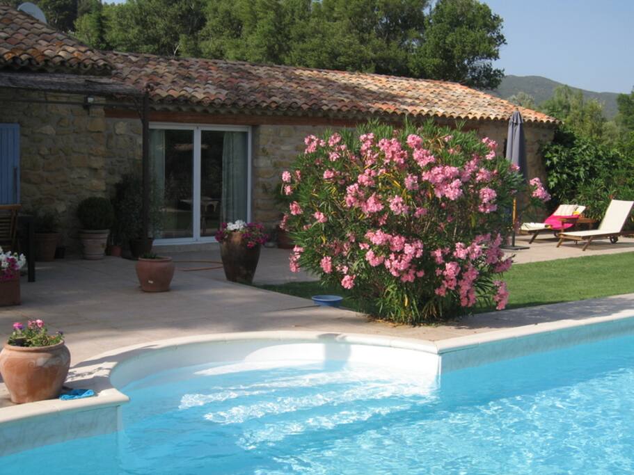 la piscine