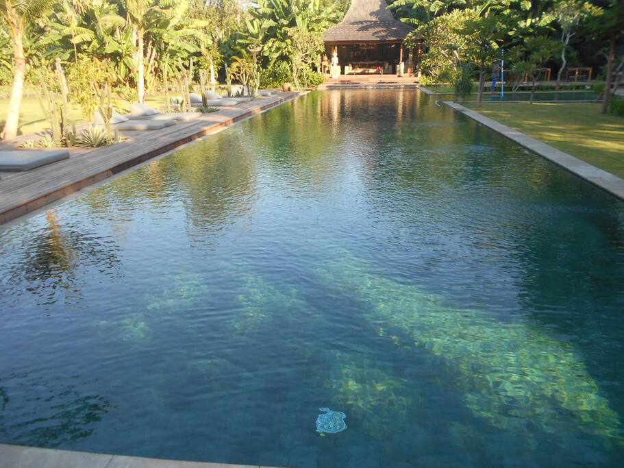 Poolside
