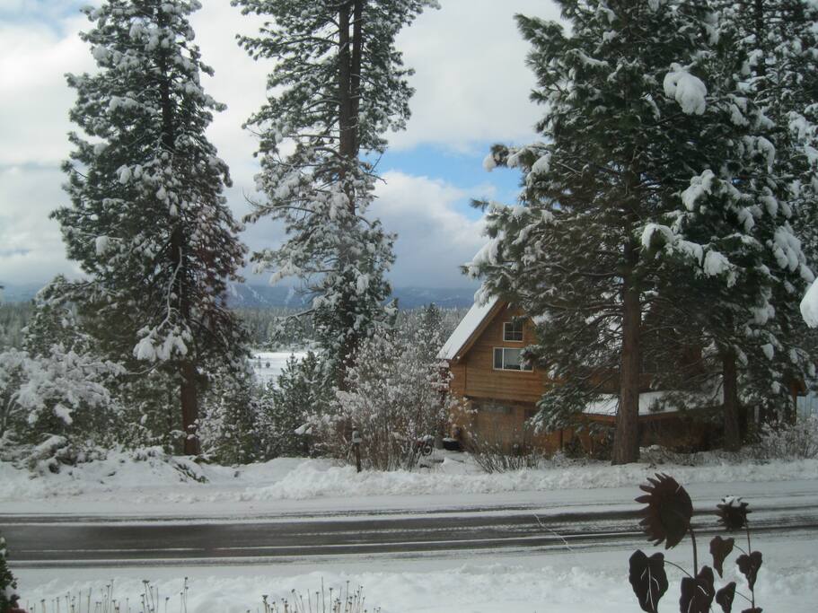 view from front window