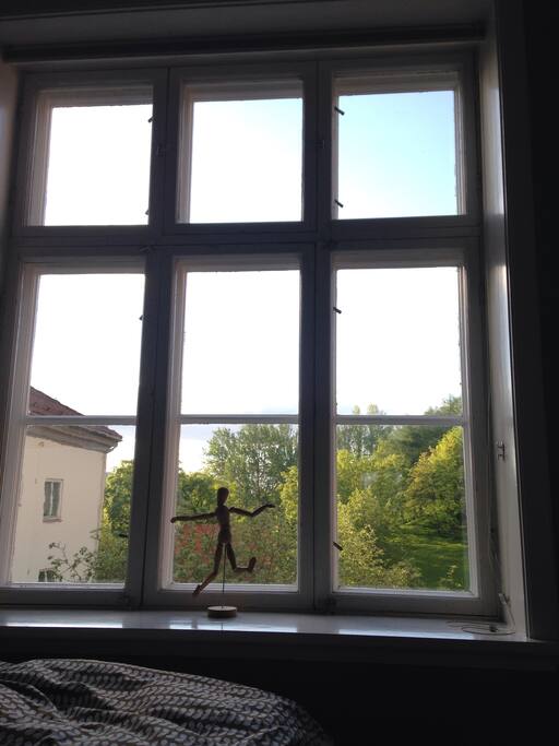 Med utsikt til himmelen som tak.