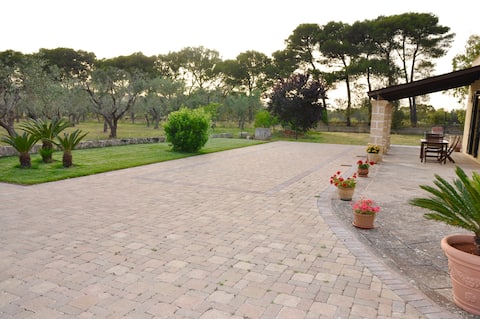 Annuncio Airbnb popolare: Antica masseria in Salento a Alessano